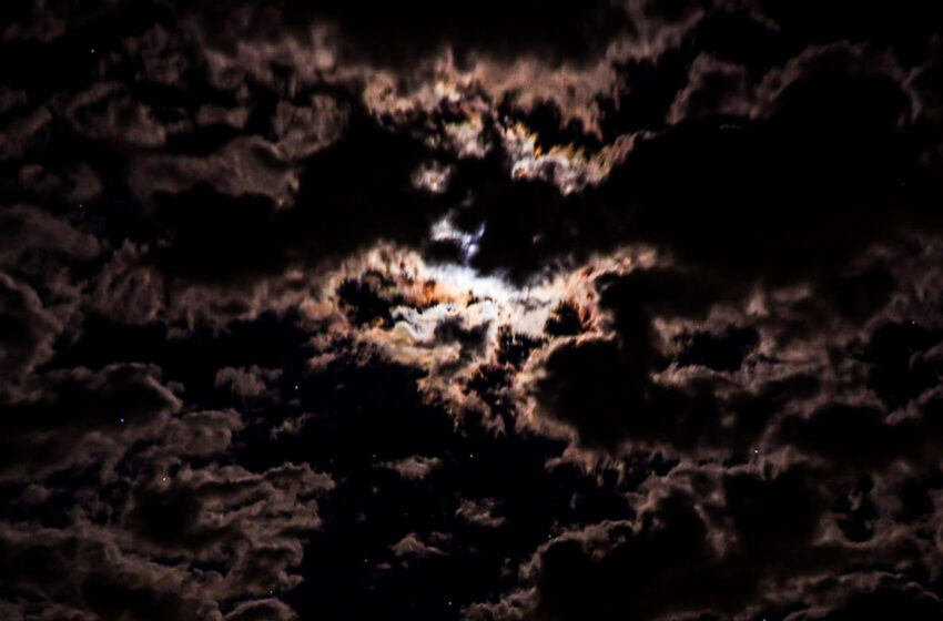  Blocks of Life revela “Whisper In the Dark”