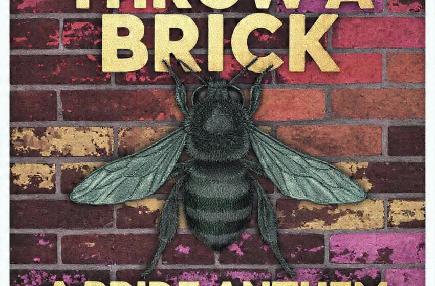  Orchard Mason lanza “Throw A Brick”, himno de orgullo