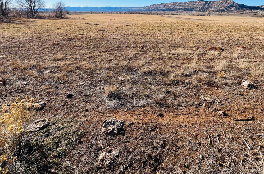  Danny Django: “Oh Me Oh My” rock crudo y emocional