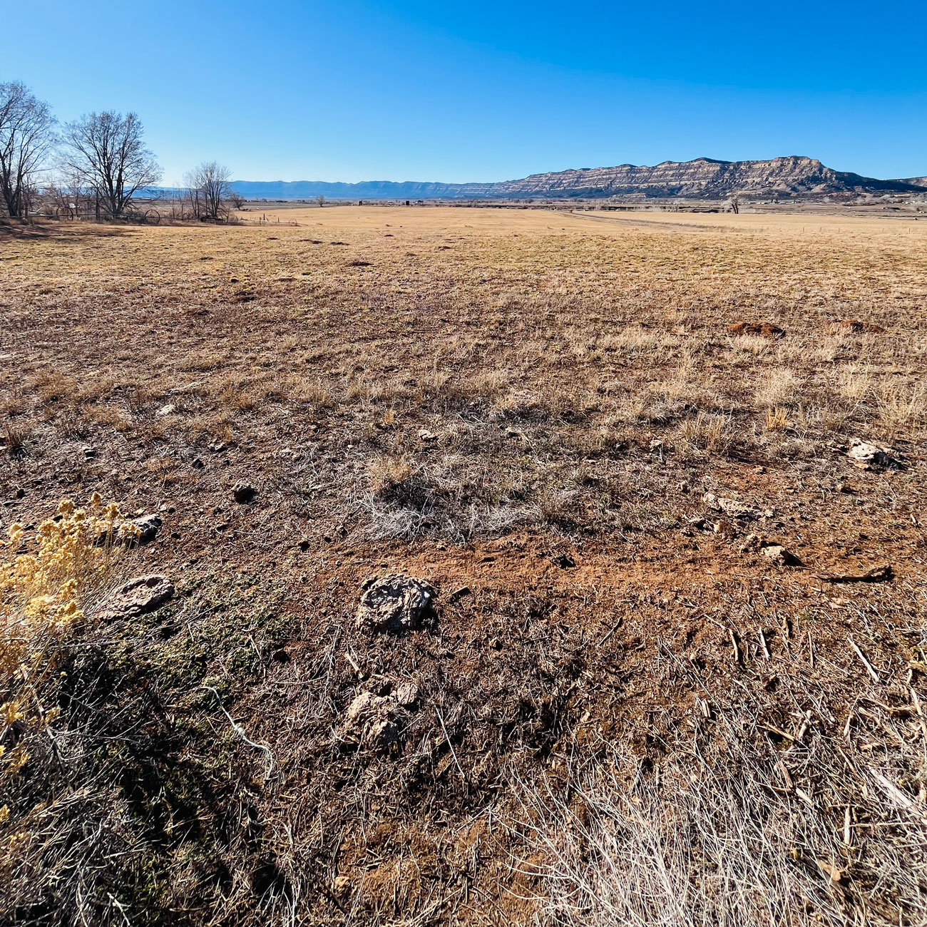  Danny Django: “Oh Me Oh My” rock crudo y emocional