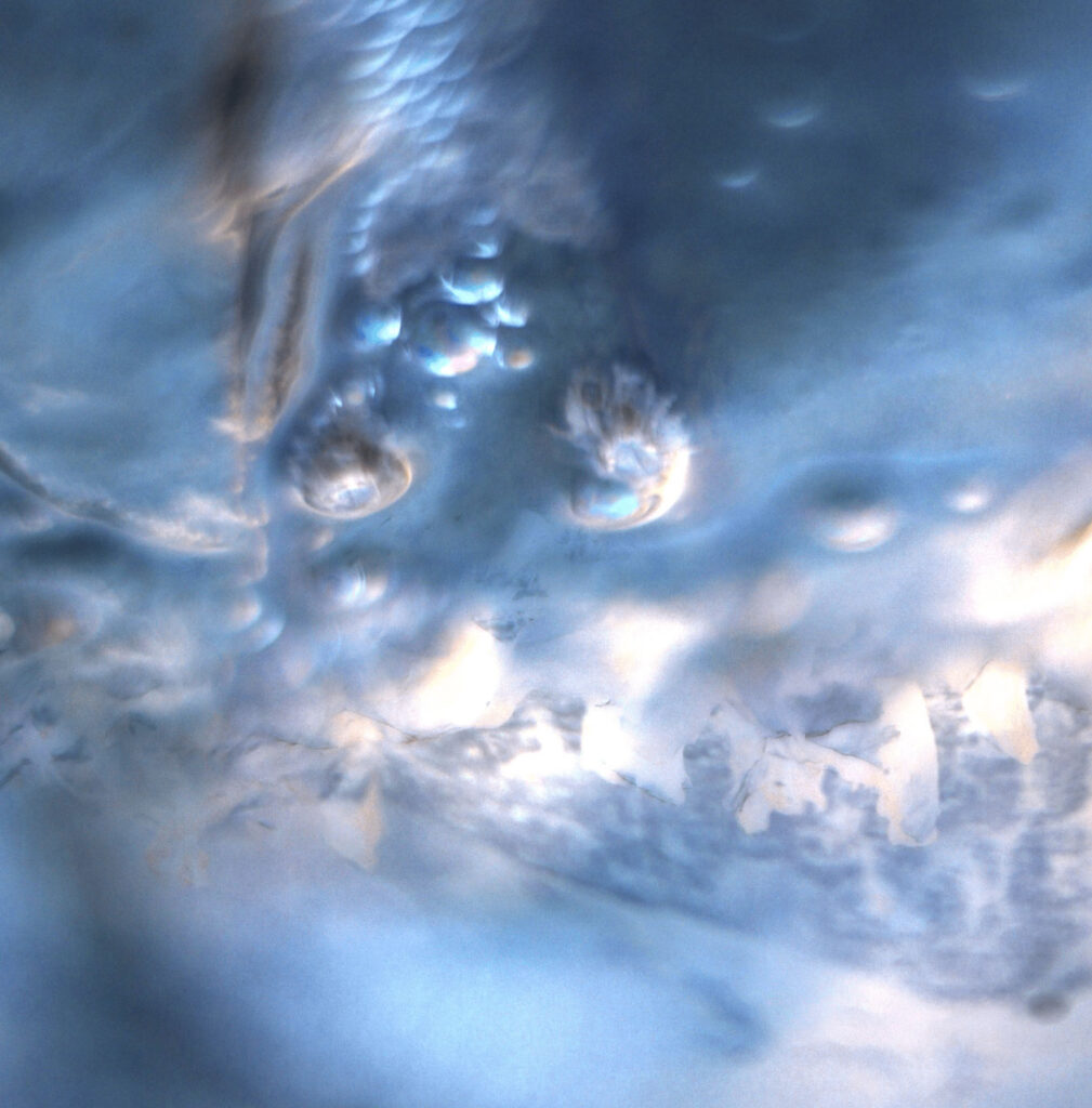 “Land Of Enchantment” de Lucian Lacewing: atmósfera drone