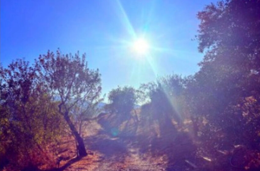  “Harmony” de RenDaPan: pieza instrumental meditativa