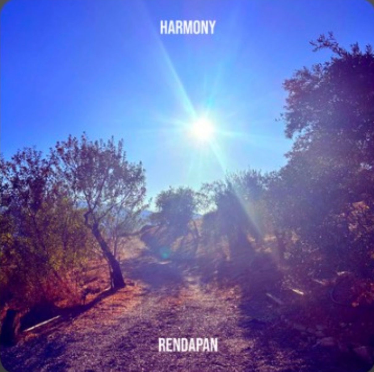  “Harmony” de RenDaPan: pieza instrumental meditativa