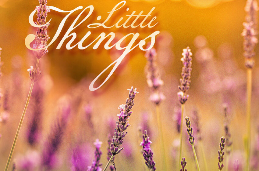  “Little Things” de Richard Green y su enfoque chill