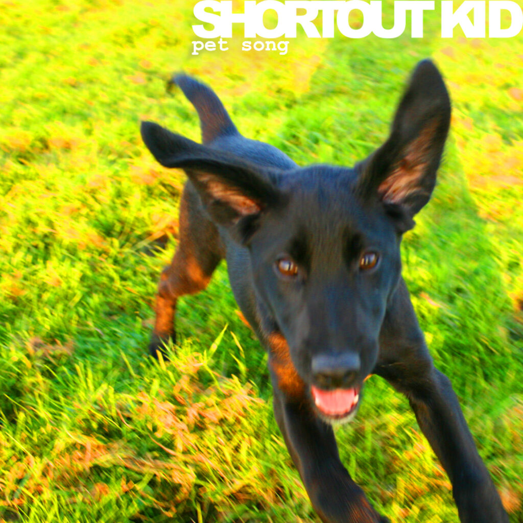 “Pet Song” de Shortout Kid y su caos sonoro híbrido