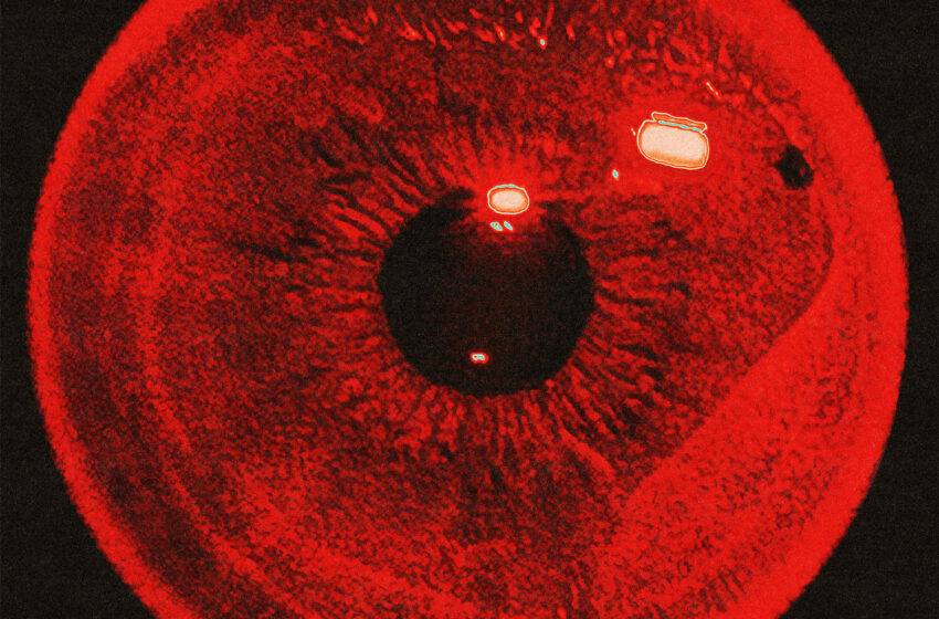  “ALOHA!” de Wotts marca nueva etapa solista