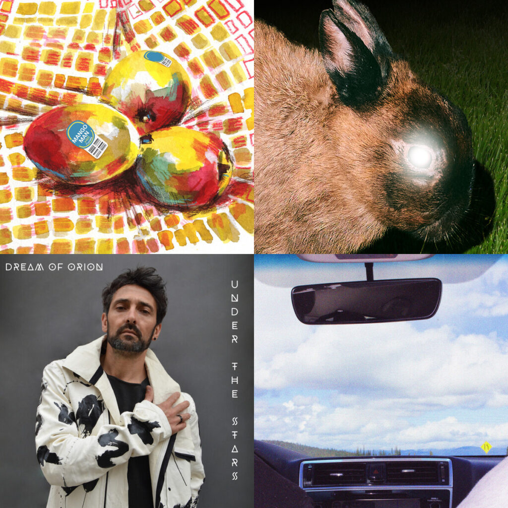 Días de Sol, Sombras y Ecos Internos