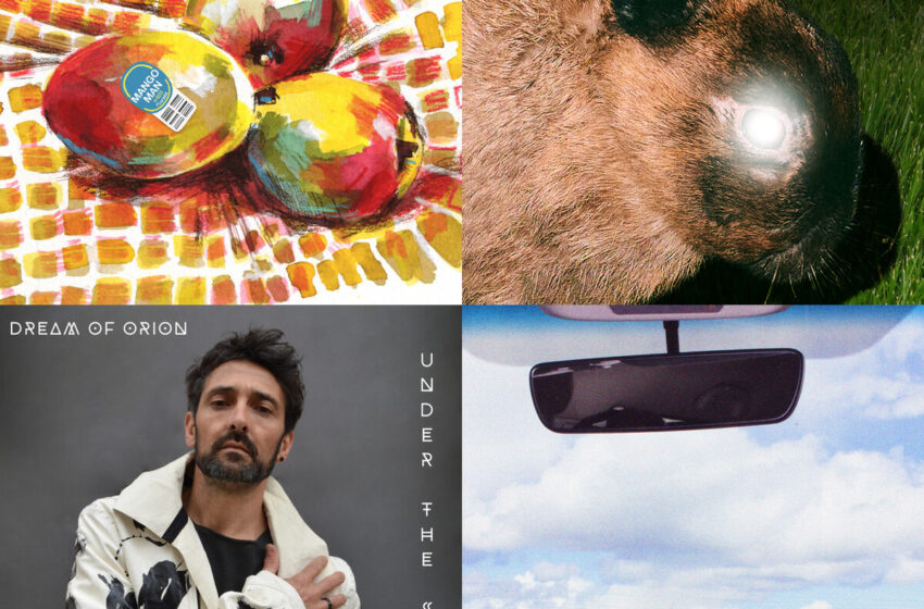  Días de Sol, Sombras y Ecos Internos