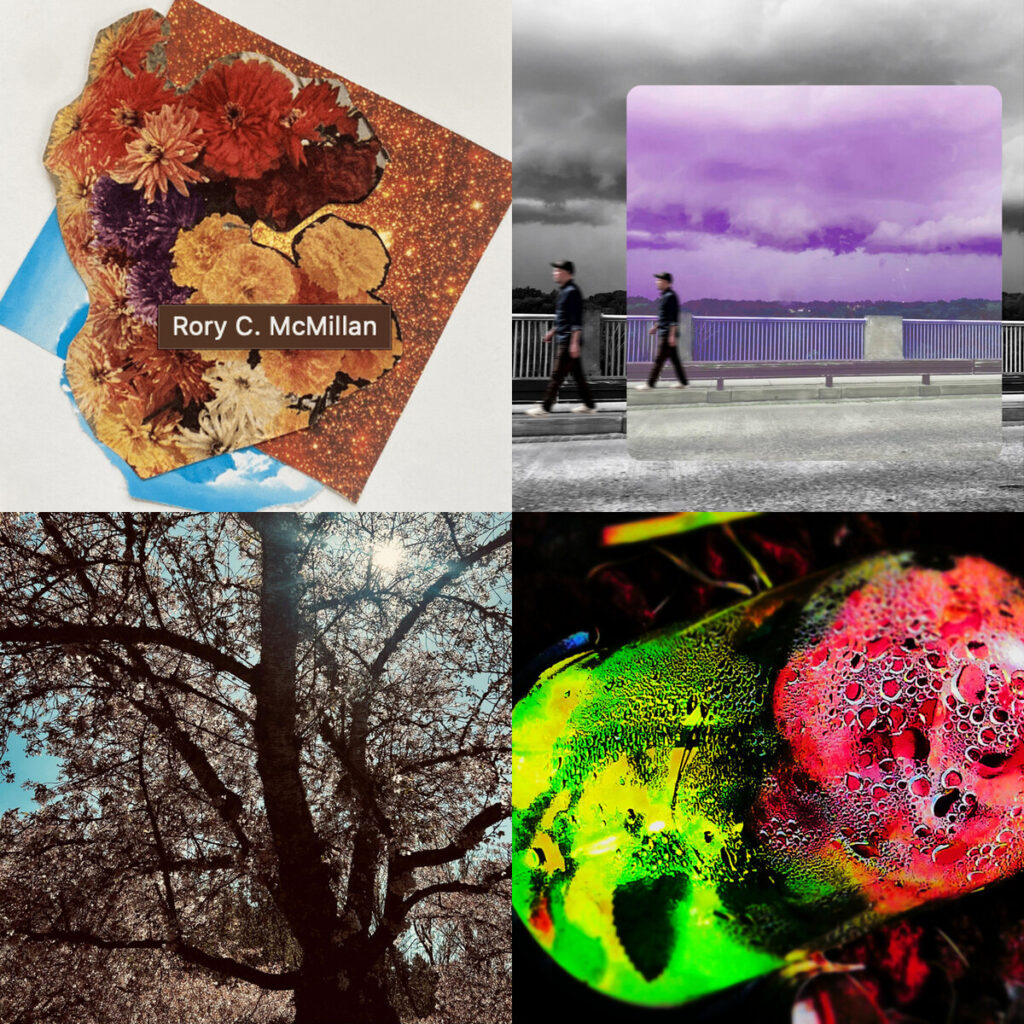 Entre pétalos, ruido y desvelo: mapas sonoros para perderse