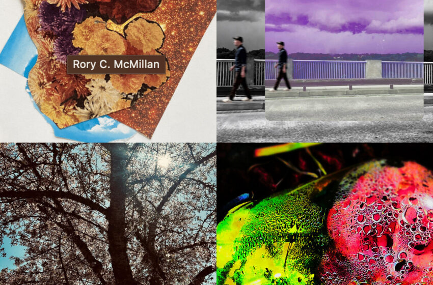  Entre pétalos, ruido y desvelo: mapas sonoros para perderse