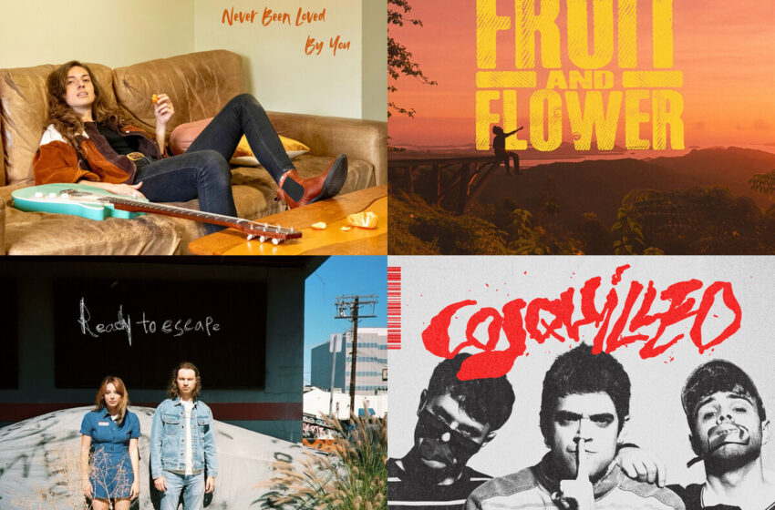  Entre Raíces, Latidos y Despedidas