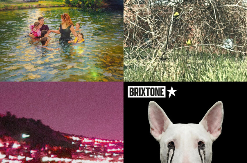  Luces en la grieta: canciones para cuando el ruido también abraza