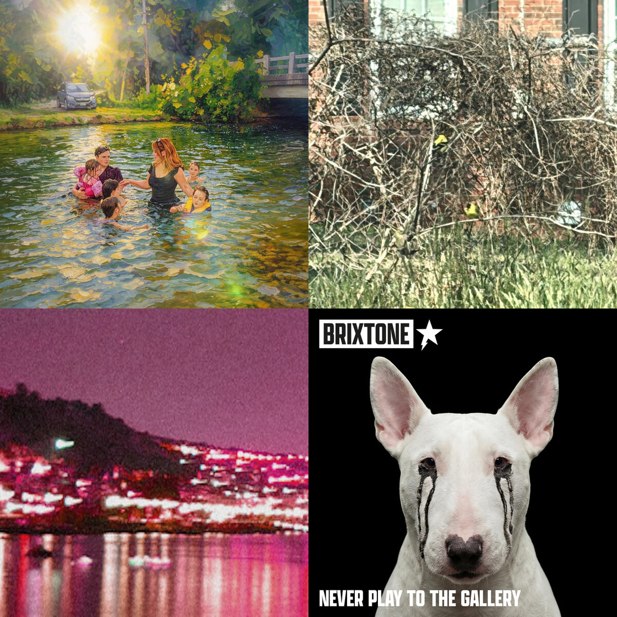  Luces en la grieta: canciones para cuando el ruido también abraza