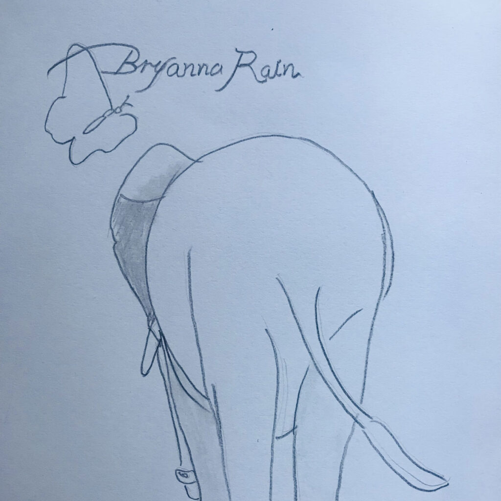 Bryanna Rain: El vanguardista colapso sonoro de (Digital) Assets