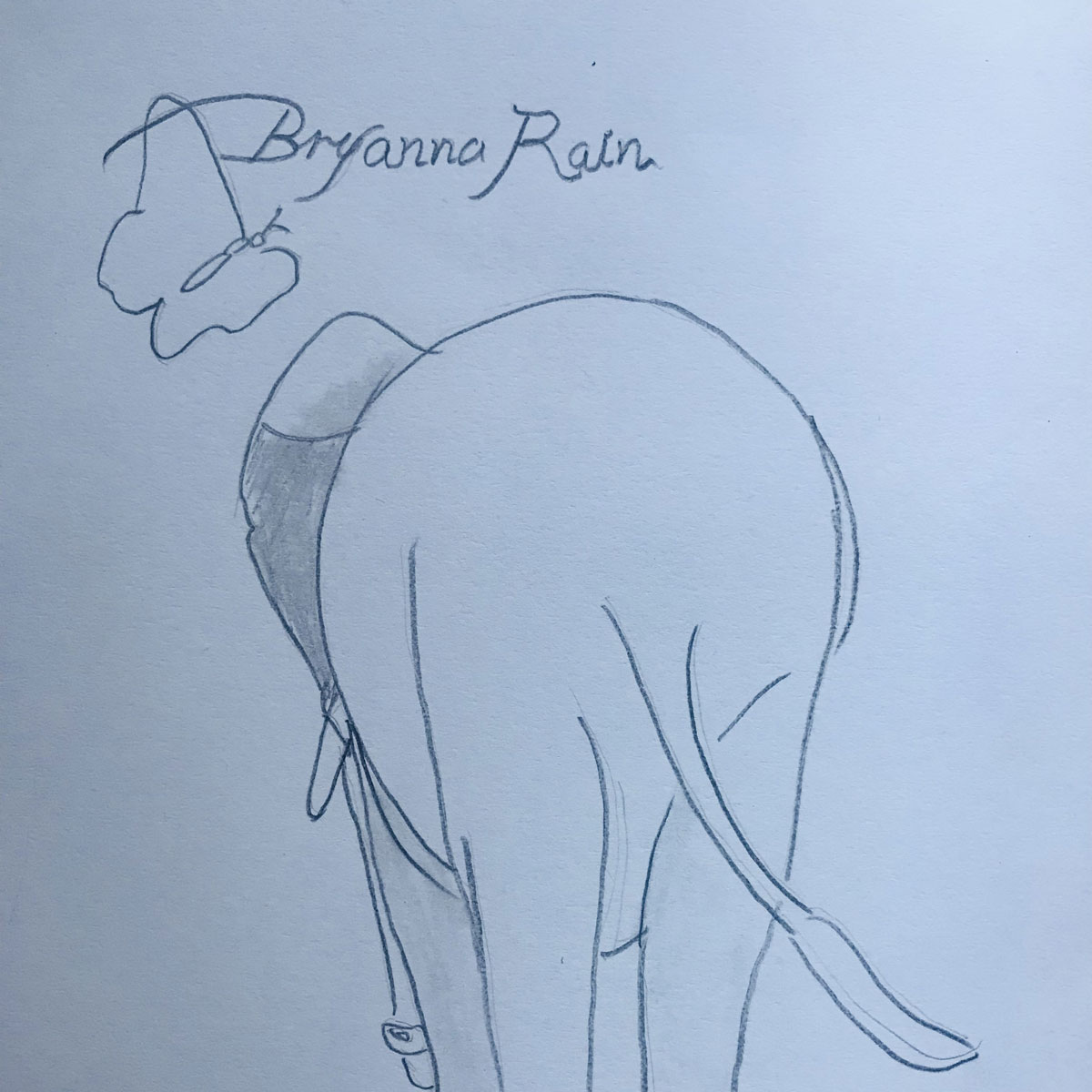  Bryanna Rain: El vanguardista colapso sonoro de (Digital) Assets
