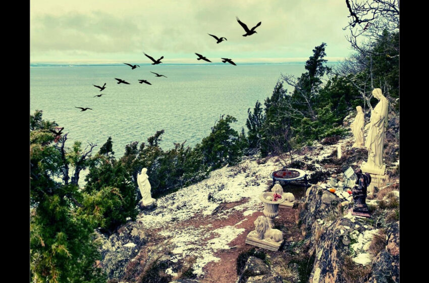  Niels Rahder explora duelo y nostalgia en “The Black Birds”