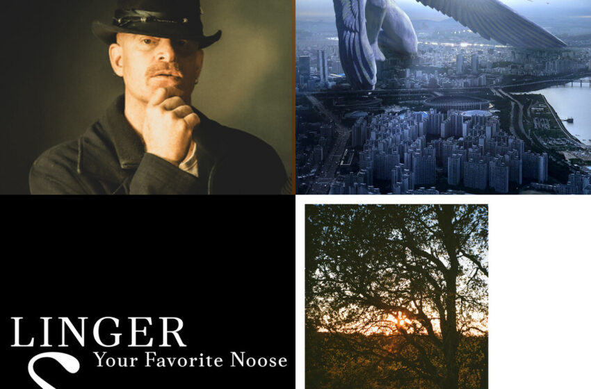  Entre fuego y silencio: canciones para soltar, arder y ascender