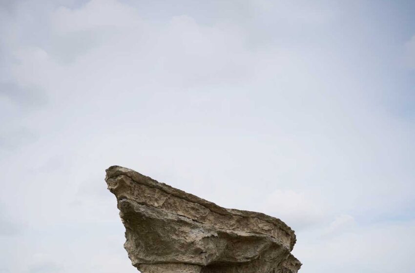  Anne Vanschothorst transforma paisaje y memoria en “RIFF”