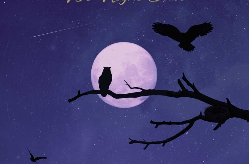  Blake Baker dedica “We Night Owls” a los creativos nocturnos