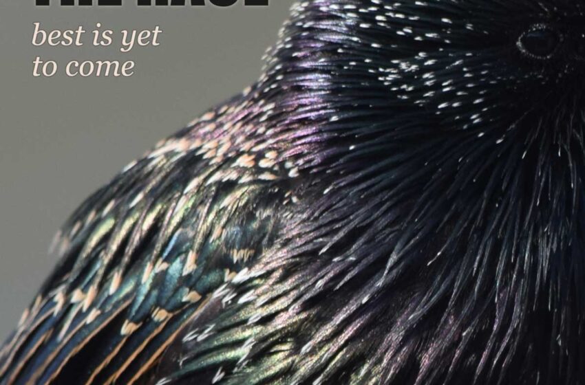  The Race regresa con esperanza en “Best Is Yet To Come”