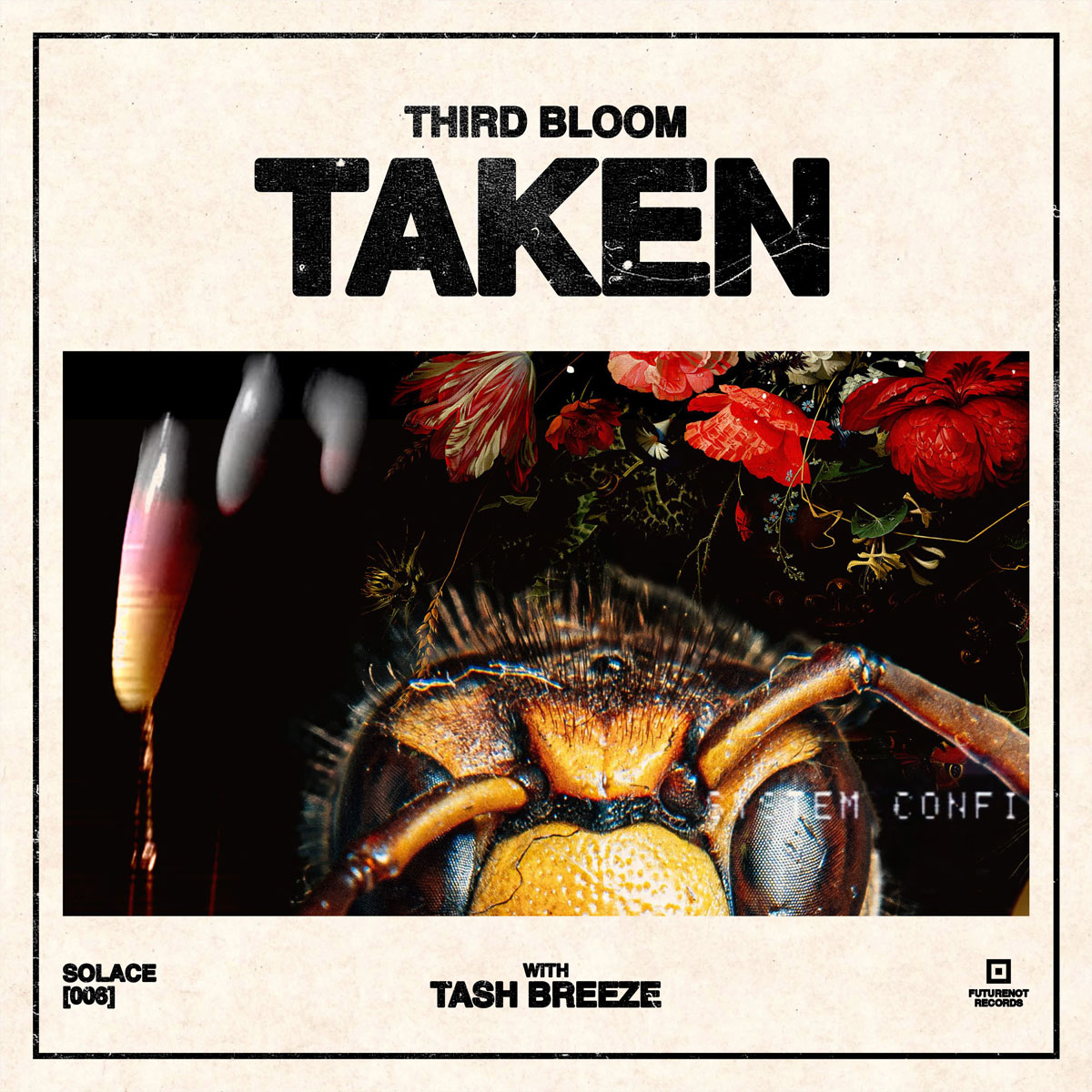  Third Bloom explora la pérdida y la resistencia en “Taken”