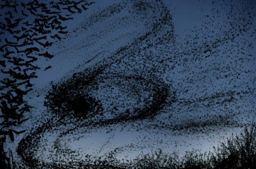  MothBreath transforma el paisaje en “Sky Bleeds”