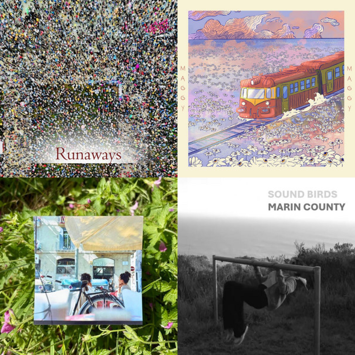  Del folk rock al pop rock: 4 lanzamientos para sumar a tu playlist