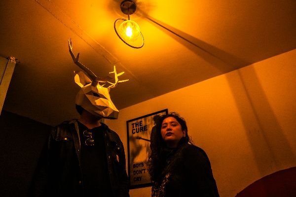 photo Deer Mx