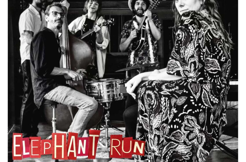  Elephant Run transforma “Fernanda” desde la intimidad