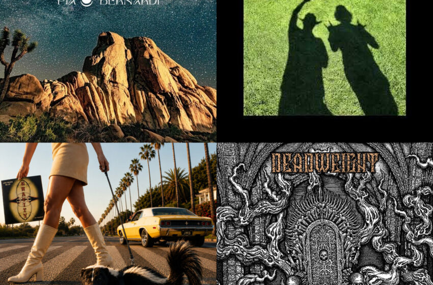  Riffs, conciencia y libertad