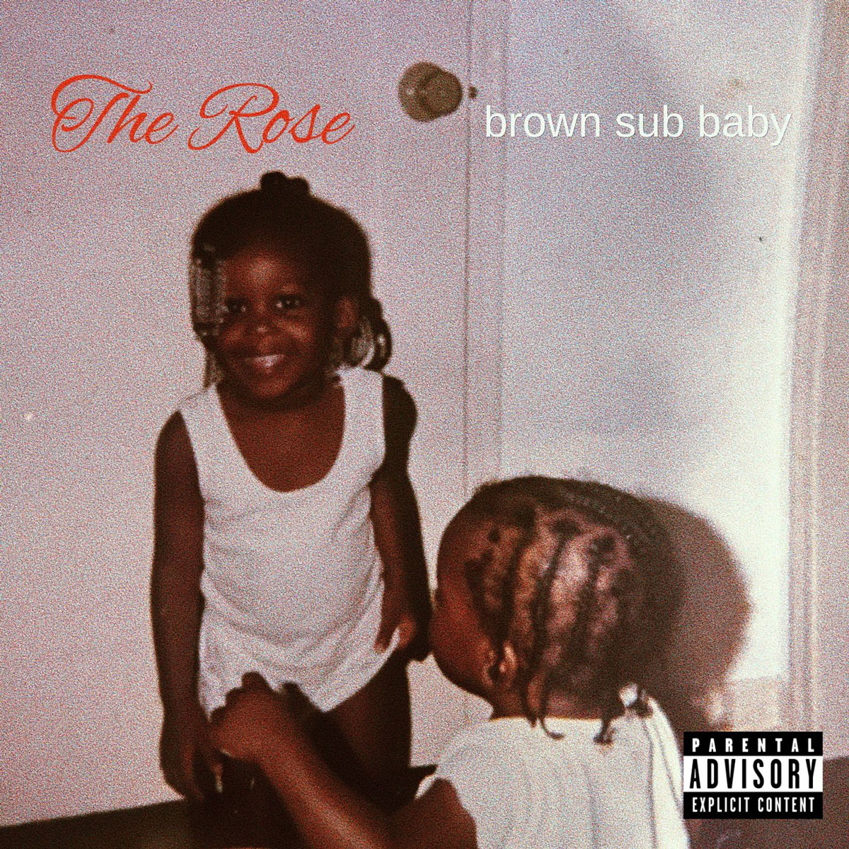  The Rose: El empoderamiento y la resiliencia en “Brown Sub Baby”