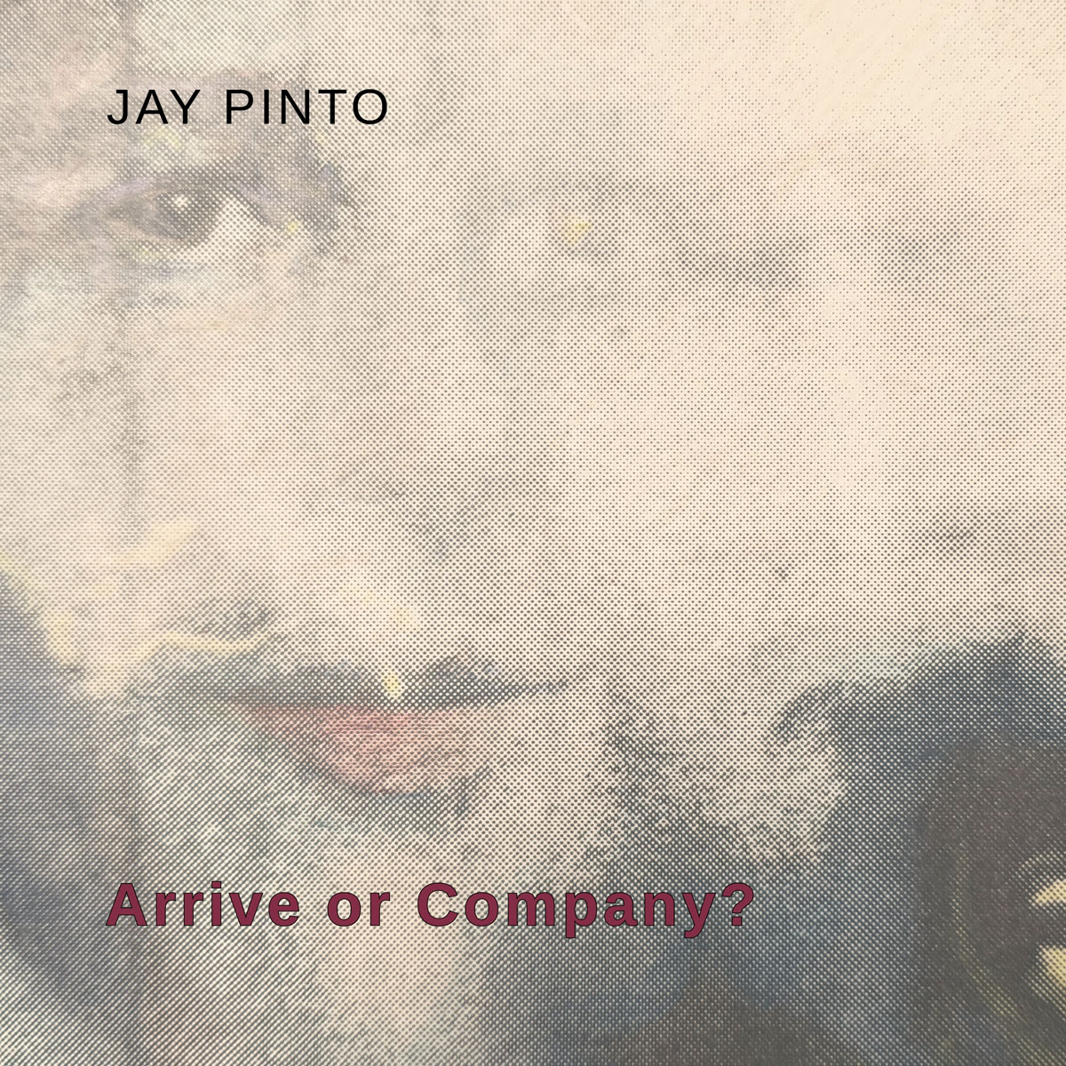  Jay Pinto pregunta qué importa más: llegar o compartir