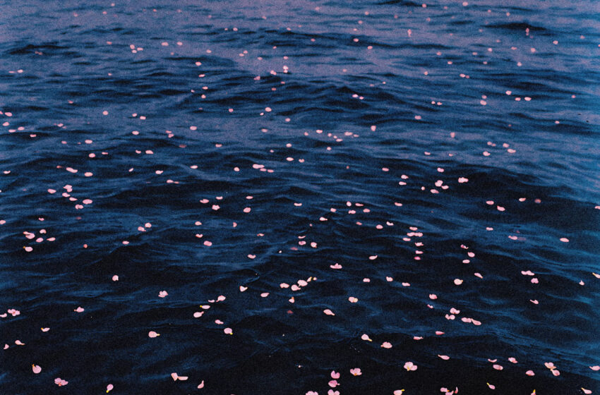  Wotts se sumerge en el riesgo emocional con “swim song”