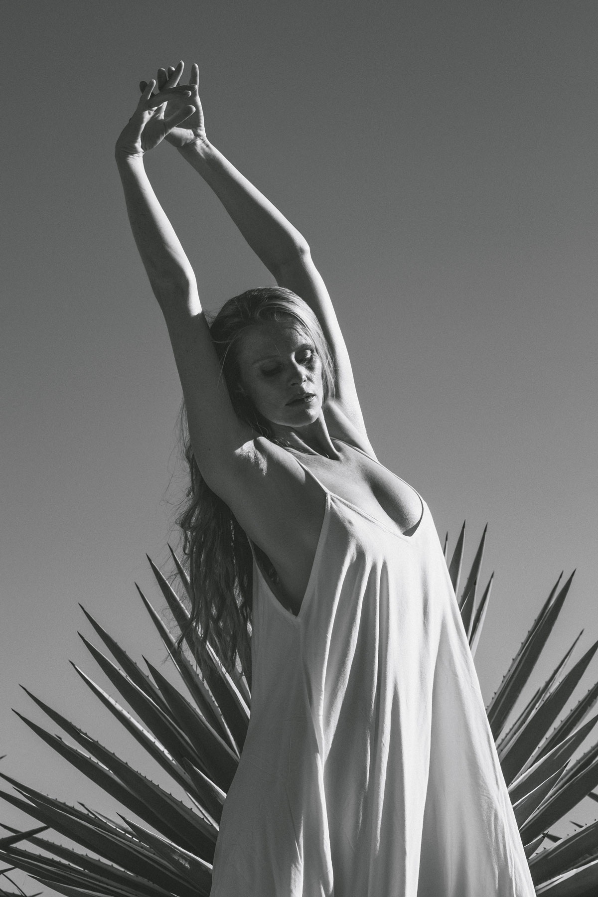 photo Tara Van